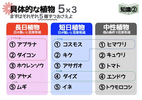 中性植物|長日植物・短日植物・中性植物の違いをわかりやすく。